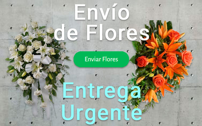 Envio flores difunto urgente a Tanatorio Vigo
